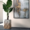 shopify_48428749062403