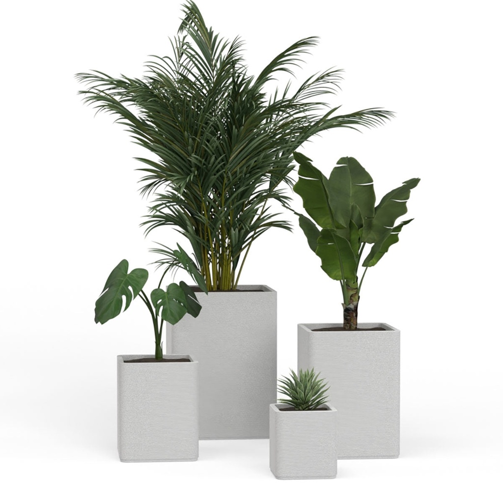 shopify_48306830246147