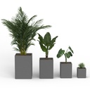 shopify_48306794987779