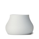 shopify_49551141437699