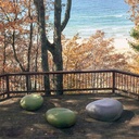 shopify_47557419630851