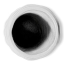 shopify_48367601090819