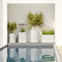 shopify_47837633380611