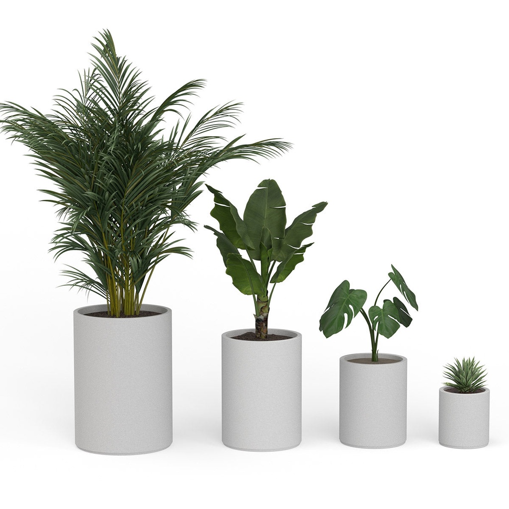 shopify_46982066995459