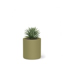 shopify_48227308601603