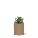 shopify_48227308765443