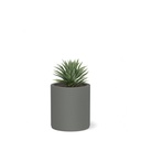 shopify_48227308863747