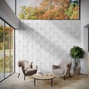 shopify_47359108808963