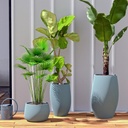 shopify_48895966773507