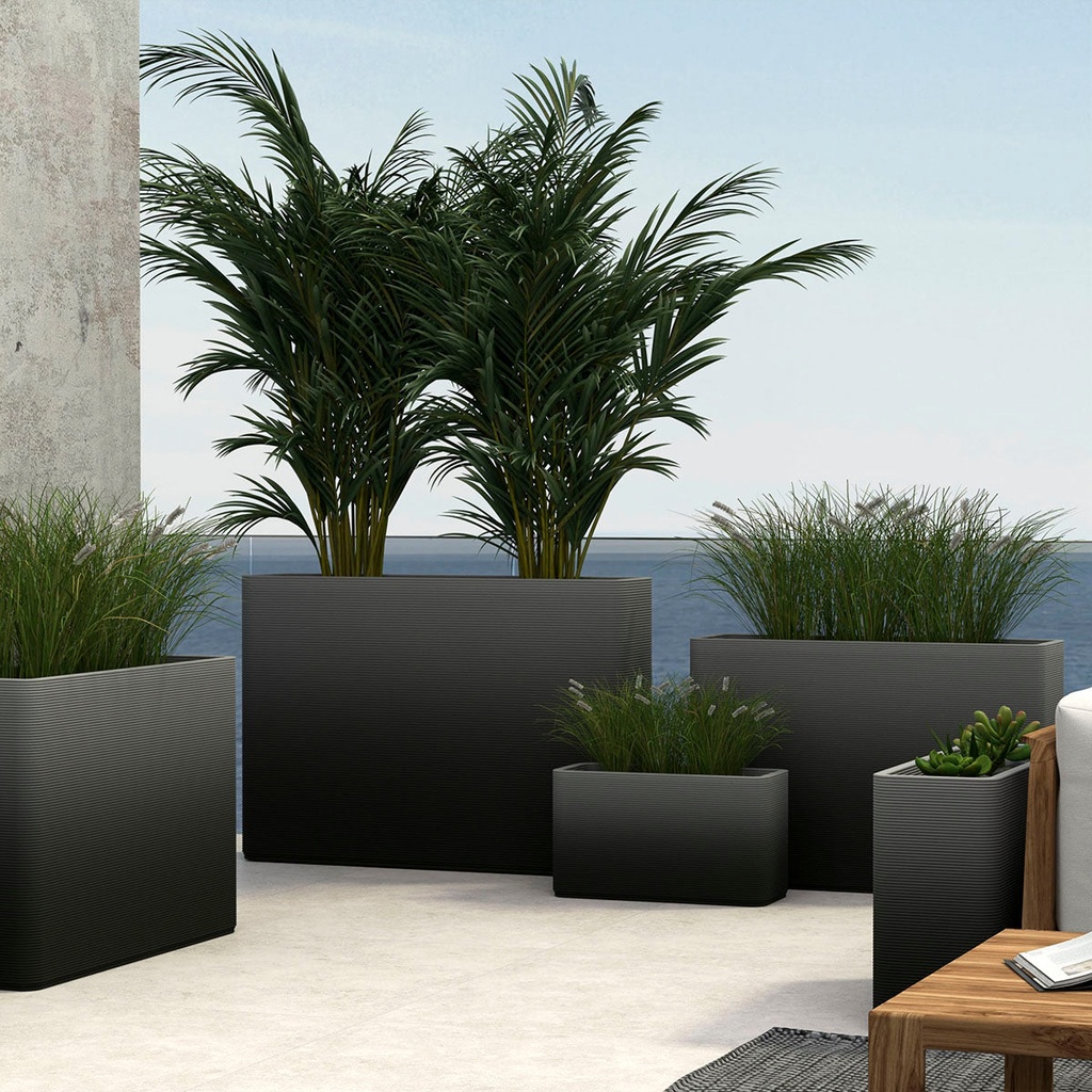 shopify_48350635000067