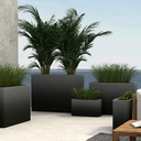 shopify_48350635000067