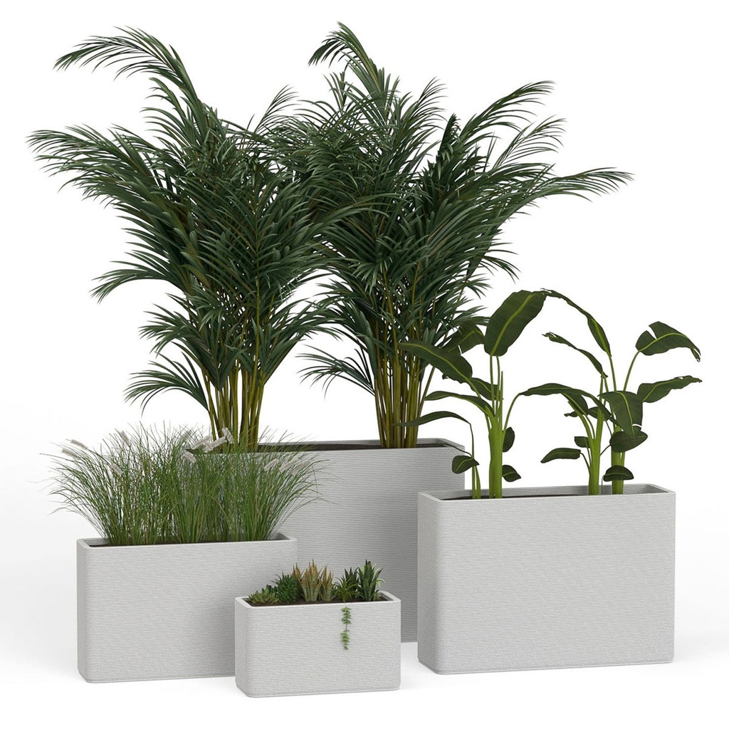 shopify_46982059000067