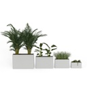 shopify_46982058967299