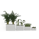 shopify_46818617164035