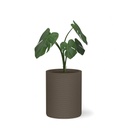 shopify_48256125829379